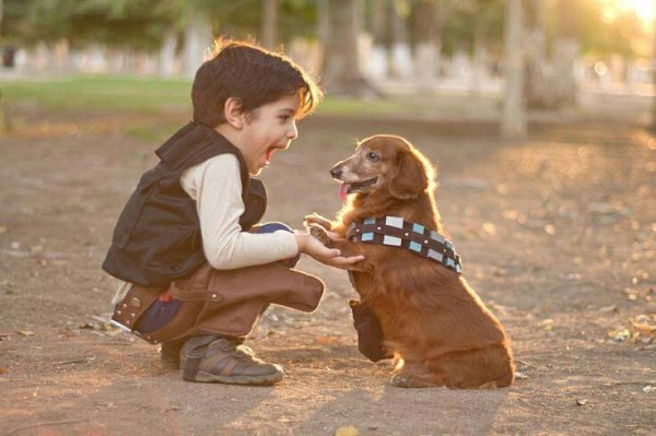 Han Solo Chewy Cosplay